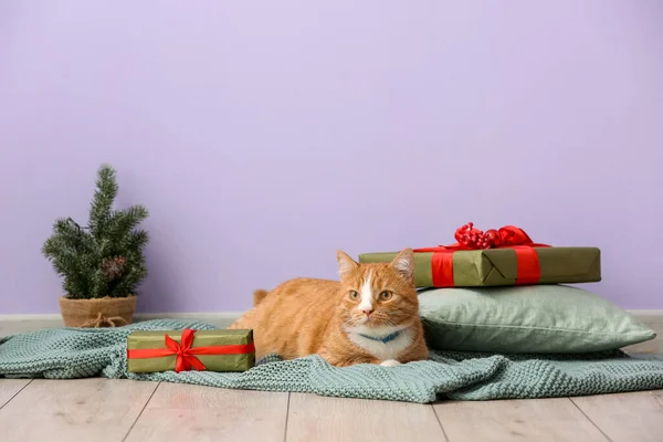 Niedliche Rote Katze Mit Weihnachtsgeschenken Der Nähe Der Farbwand — Stockfoto