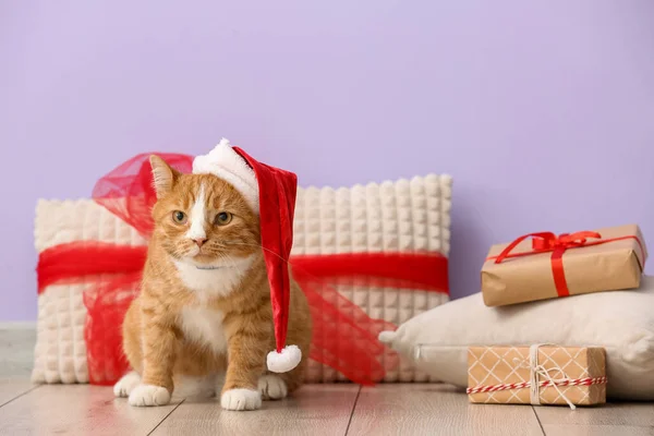 Niedliche Rote Katze Weihnachtsmütze Und Mit Weihnachtsgeschenken Der Nähe Der — Stockfoto