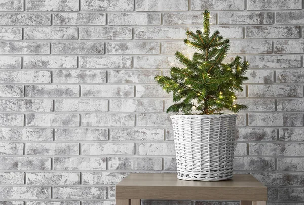 Schöner Weihnachtsbaum Topf Auf Dem Tisch Neben Heller Ziegelwand — Stockfoto