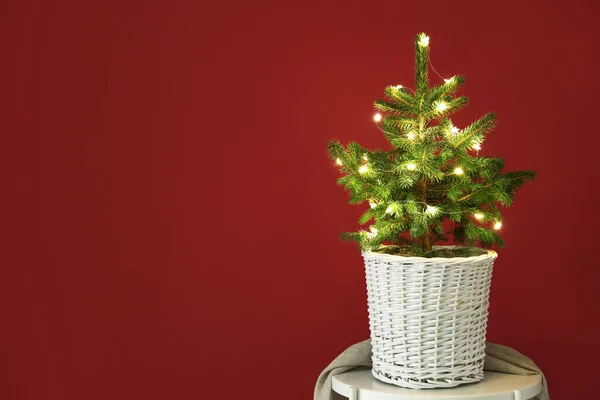 Hermoso Árbol Navidad Maceta Mesa Cerca Pared Roja — Foto de Stock