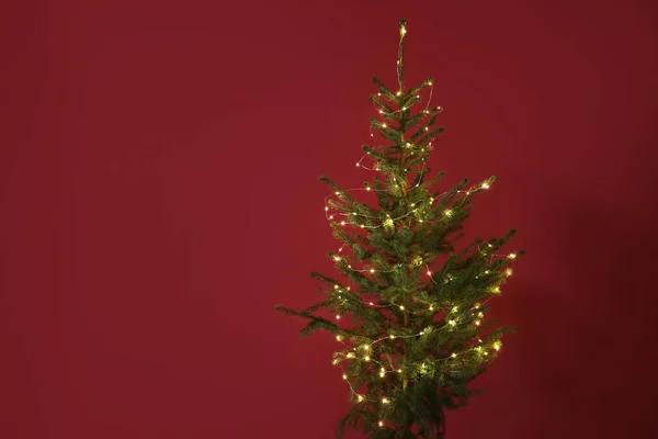 Beautiful Christmas Tree Red Wall Closeup — Stock Photo, Image