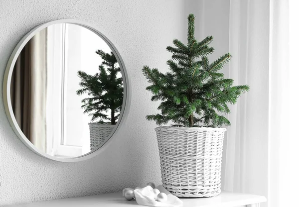 Beautiful Christmas Tree Pot Table Mirror Room — Stock Photo, Image