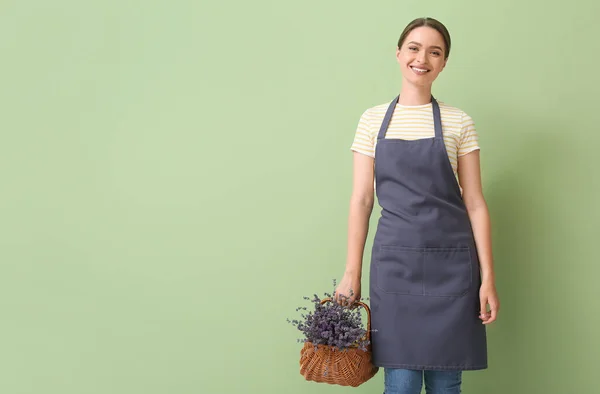 Female Gardener Basket Lavender Color Background — Stock Photo, Image