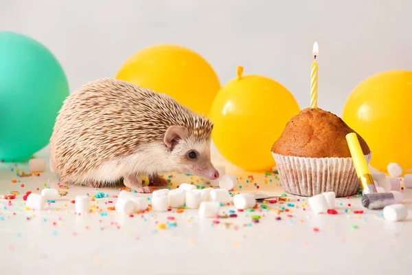 Joli Hérisson Avec Ballons Air Guimauves Muffins Sur Fond Clair — Photo