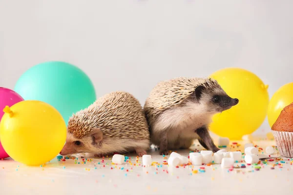 Cute Hedgehogs Air Balloons Marshmallows Light Background — Stock Photo, Image
