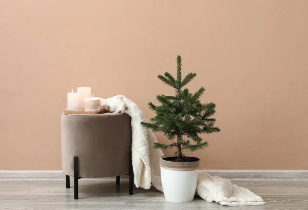 Beautiful Christmas Tree Pot Armchair Plaid Beige Wall — Stock Photo, Image