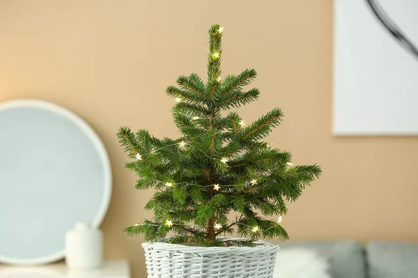 Bela Árvore Natal Panela Dentro Casa — Fotografia de Stock
