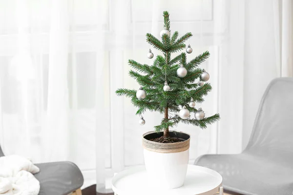 Bela Árvore Natal Decorada Vaso Mesa Dentro Casa — Fotografia de Stock