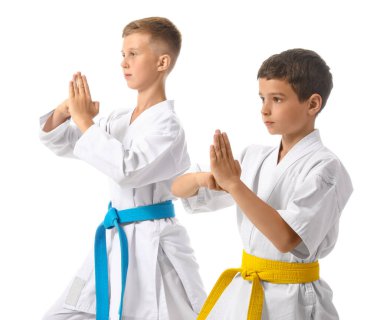 Beyaz arka planda karate yapan küçük çocuklar.