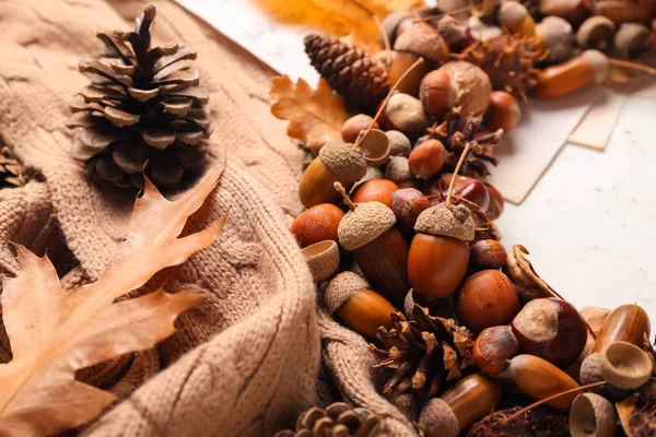 Beautiful Acorn Wreath Sweater Light Background Closeup — Stock Photo, Image