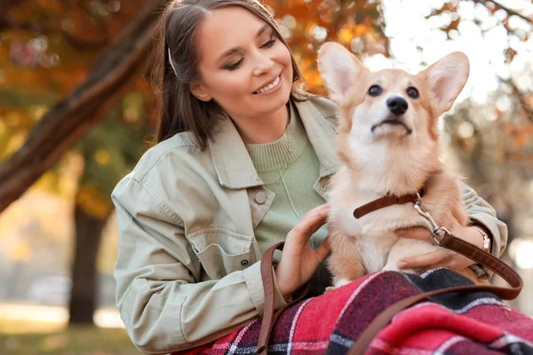 秋の公園でかわいいコルギ犬と若い女性 — ストック写真
