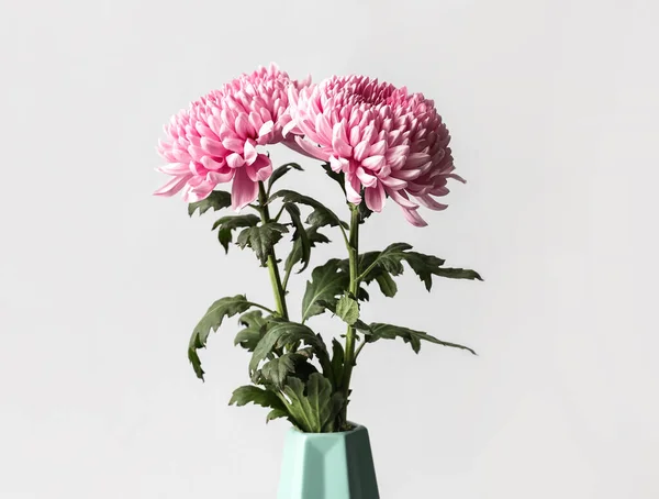 Jarrón Con Hermosas Flores Crisantemo Rosa Sobre Fondo Blanco Primer —  Fotos de Stock