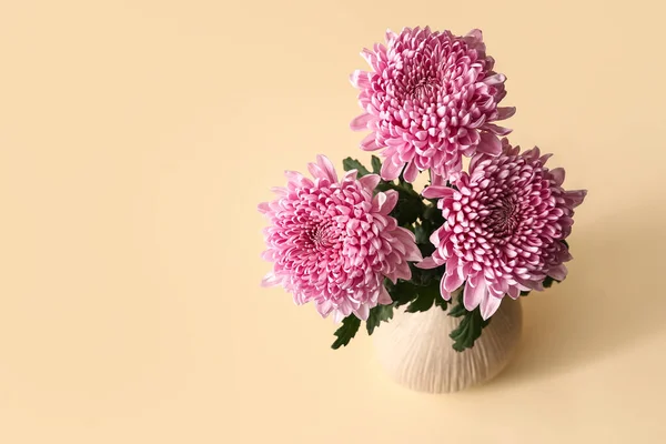 Vase Pink Chrysanthemum Flowers Color Background — Stock Photo, Image