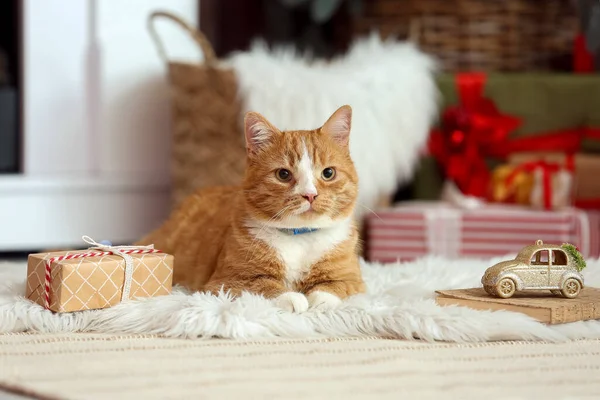 Niedliche Rote Katze Hause Heiligabend — Stockfoto