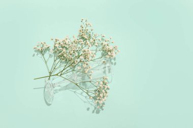 Renkli arka planda cam ve güzel çigila çiçekleri