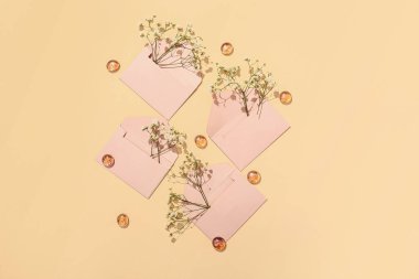 Zarflı kompozisyon ve renk arkaplan üzerinde güzel çigila çiçekleri