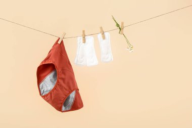 Dönem külotları, pedler ve papatya çiçekleri ipte sallanıyor.
