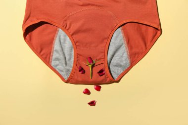 Dönem külotlu kompozisyon ve arkaplanda gül çiçeği, yakın plan.