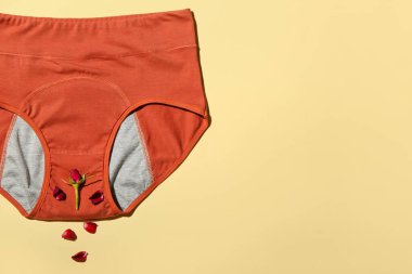 Dönem külotlu kompozisyon ve arkaplanda gül çiçeği