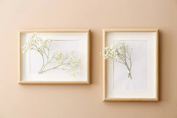 Photo Frames Beautiful Gypsophila Flowers Hanging Color Wall — Stock Photo, Image