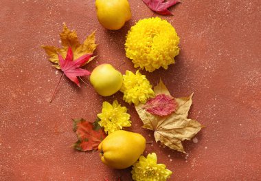 Sarı kasımpatı çiçekleri, meyveler grunge rengi arka planda düşen yapraklar