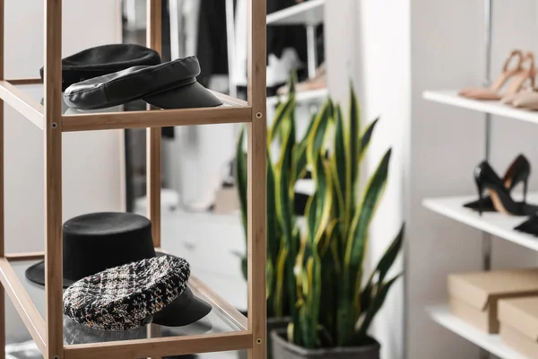 Estantes Con Elegantes Sombreros Boutique Primer Plano —  Fotos de Stock