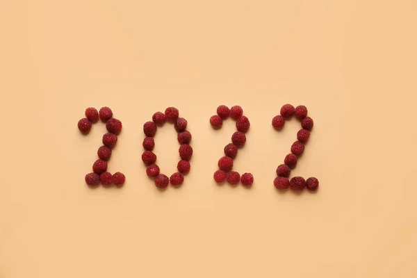 Figura 2022 Feita Framboesa Sobre Fundo Cor — Fotografia de Stock