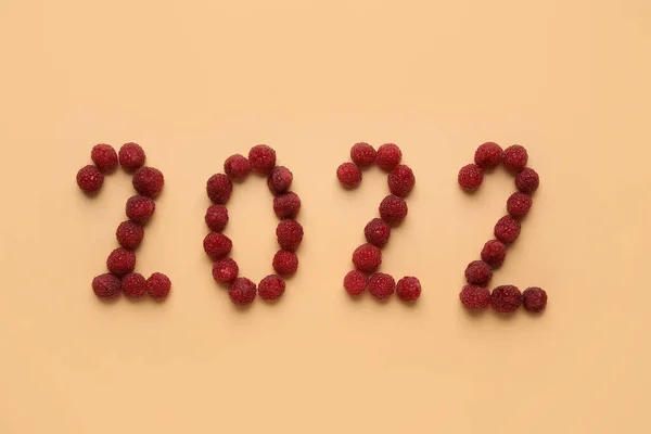 图2022年覆盆子色背景图 — 图库照片