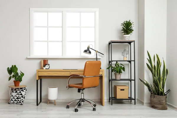 Interior Room Comfortable Workplace Shelf Unit Houseplants Light Wall — Stock Photo, Image