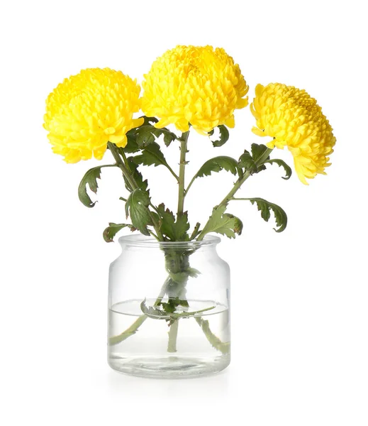 Vaso Flores Crisântemo Amarelo Sobre Fundo Branco — Fotografia de Stock
