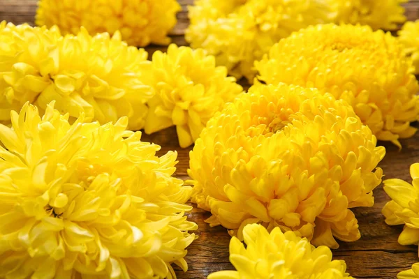 木製の背景に黄色の菊の花 — ストック写真