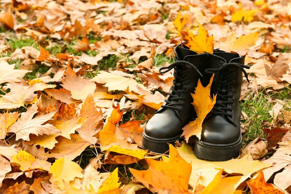 Stilvolle Schuhe Und Abgefallenes Laub Herbstpark — Stockfoto