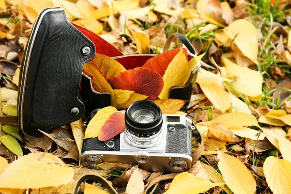 Umgestürzte Blätter Und Fotokamera Herbst Park Nahaufnahme — Stockfoto