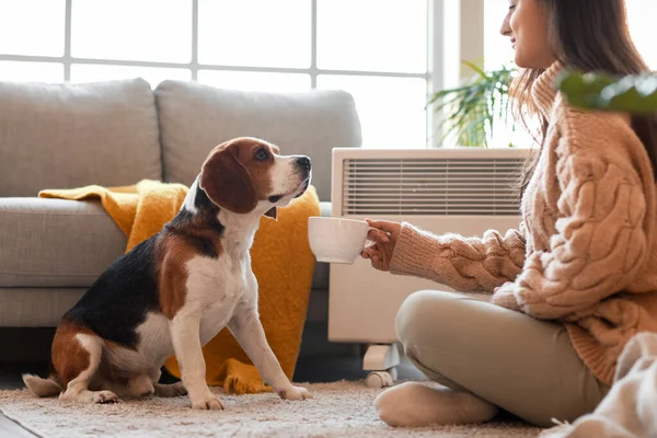 Woman Cute Beagle Dog Convector Heater Home — Stock Photo, Image