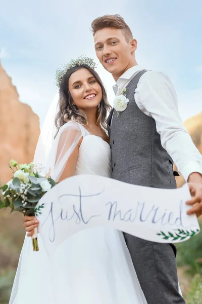 Happy Wedding Couple Poster Countryside — Stock Photo, Image