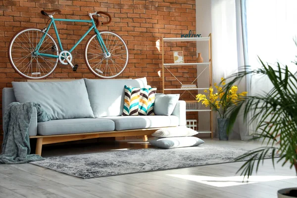 Studio Apartment Bicycle Stylish Sofa — Stock Photo, Image