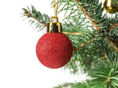 Beyaz arka planda izole edilmiş güzel toplu Noel ağacı, yakın plan