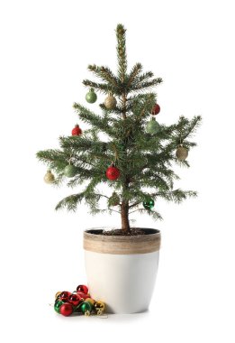 Beyaz arka planda izole edilmiş güzel topları olan Noel ağacı