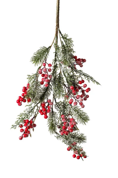 Krásné Vánoční Jedle Větev Bobulemi Bílém Pozadí — Stock fotografie