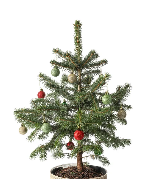 Weihnachtsbaum Mit Schönen Kugeln Isoliert Auf Weißem Hintergrund — Stockfoto