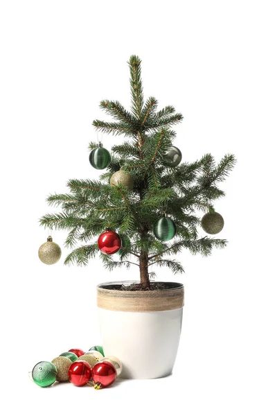 Albero Natale Con Belle Palle Isolate Sfondo Bianco — Foto Stock