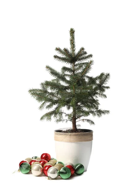 Weihnachtsbaum Mit Schönen Kugeln Isoliert Auf Weißem Hintergrund — Stockfoto