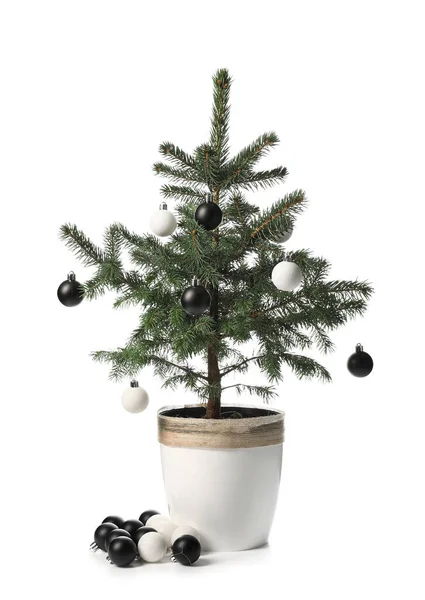 Kerstboom Met Mooie Ballen Geïsoleerd Witte Achtergrond — Stockfoto