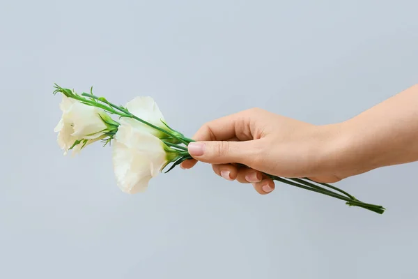 Жінка Красивим Манікюром Тримає Квіти Сірому Фоні — стокове фото
