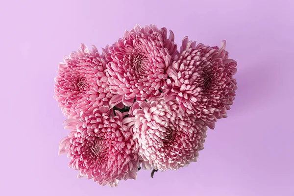 Bouquet Beautiful Chrysanthemum Flowers Lilac Background — Stock Photo, Image