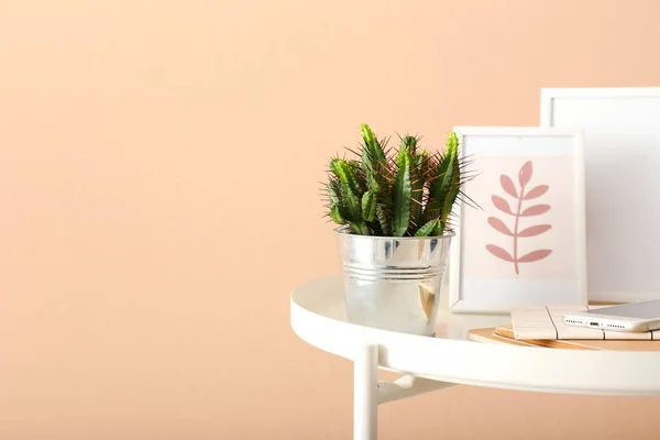 Green Cactus Table Color Wall — Stock Photo, Image