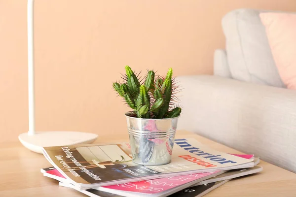 Pot Fleurs Avec Cactus Magazines Sur Table Dans Chambre — Photo