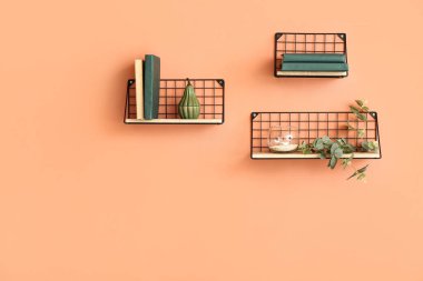 Renk duvarında kitap ve dekor olan modern raflar