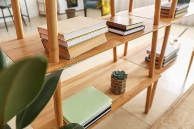 Aydınlık oturma odasının içindeki kitaplarla süslü bir kitaplık.