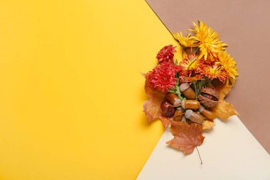 Kasımpatı çiçekleri ve doğal orman dekoru ile renklendirilmiş kompozisyon